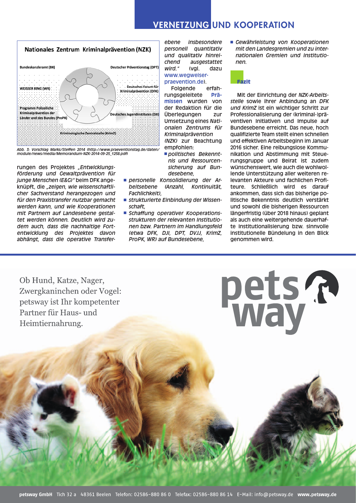 Vorschau DFK forum kp 04-2015 Seite 9